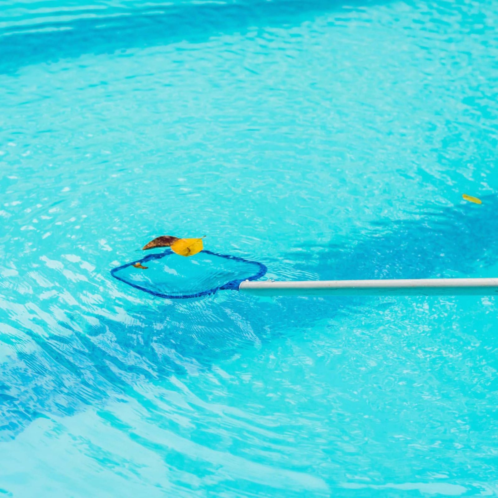 Detachable Pool Foliage Net Ea - Pool Skimmer Net recension och pris